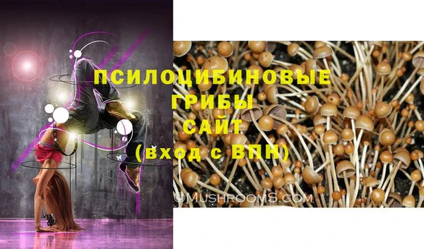 кокаин премиум Краснослободск