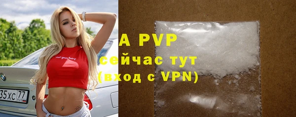 сатива Краснотурьинск