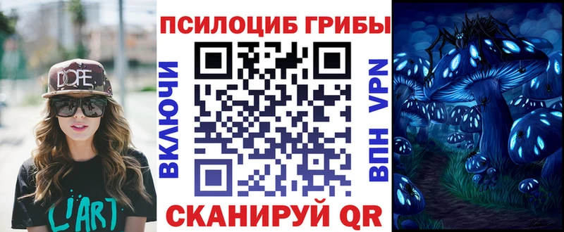 darknet состав Находка Галлюциногенные грибы Cubensis