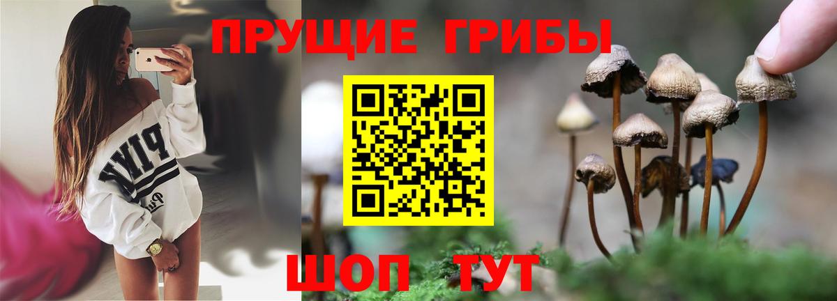 Псилоцибиновые грибы MAGIC MUSHROOMS  Вход с VPN  Находка  Псилоцибиновые грибы ЛСД 